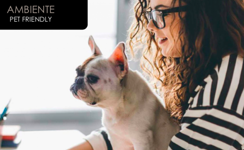 2 bedroom apartment with Gym, Pool and Jacuzzi for sale, Hotel Zone, Cancun.