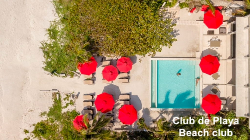 Penthouse with private pool, natural cenote and luxury amenities