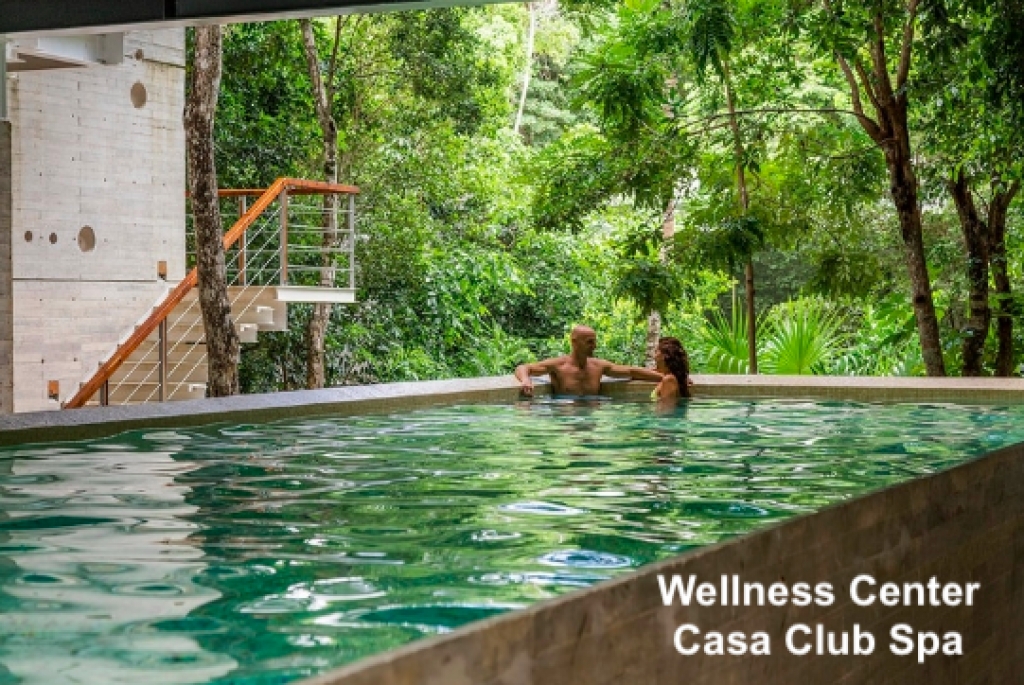 Penthouse with private pool, natural cenote and luxury amenities