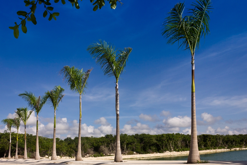 Single family lot with amenities for sale in Puerto Aventuras