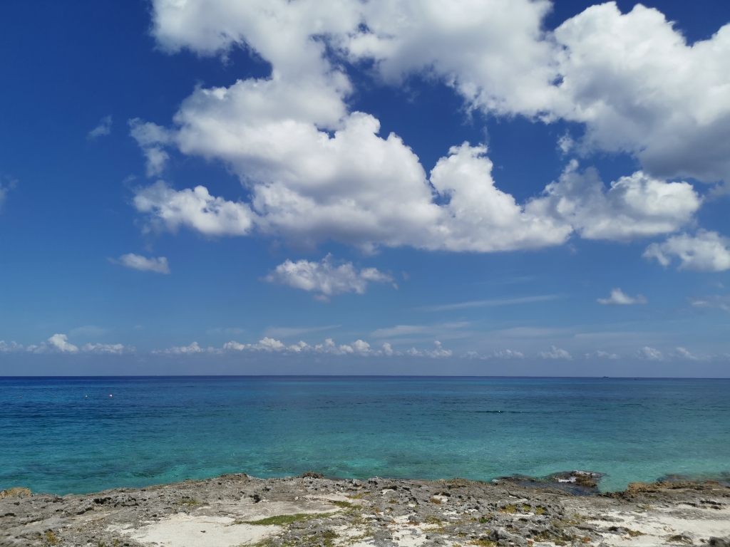 Departamento, roof top con alberca y asador, area de hamacas, palapa, area para perros, pre-construccion, venta Cozumel