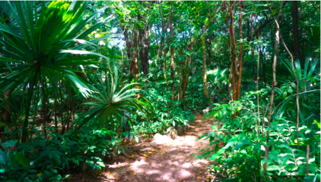 Local comercial en venta en El Ejido Playa del Carmen, en Edificio de condominios, frente a parque r