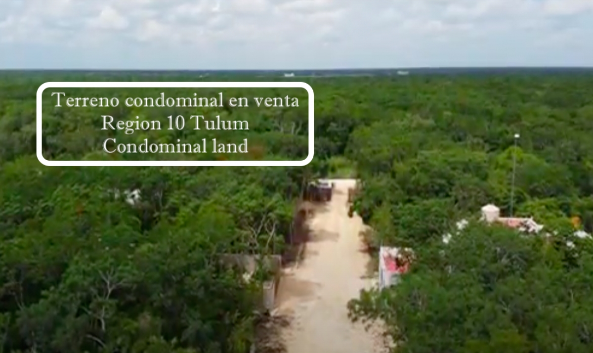 Terreno multifamiliar,macrolote en venta en Tulum, densidad H4.