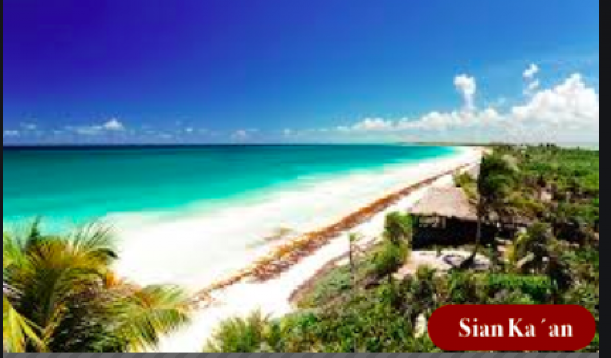 Terreno multifamiliar,macrolote en venta en Tulum, densidad H4.