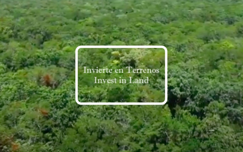 Terreno multifamiliar en venta en Tulum, Region 10.