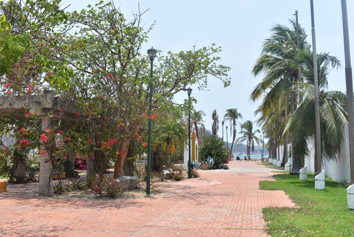 Terreno uso de suelo tur&iacute;stico hotelero a 300 metros de la playa, Bahia Chahue, en venta, Huatulco,