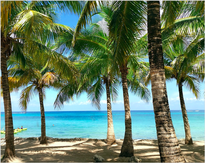 Building with 3 apartments for sale in Cozumel, Avenue 65. in INVIQROO neighborhood,