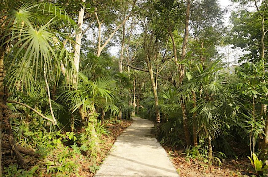 Hotel boutique en el bosque,  ecol&oacute;gico, 4 suites a la orilla de peque&ntilde;o rio, cerca