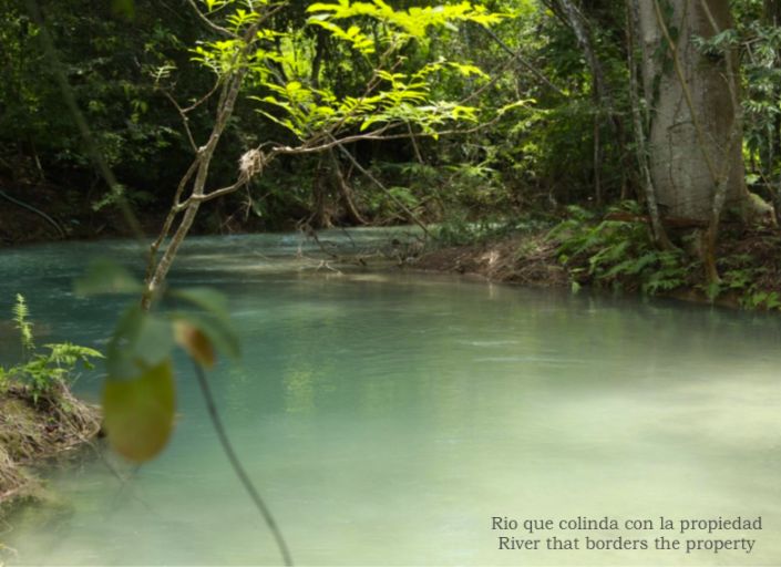 Hotel boutique en el bosque,  ecol&oacute;gico, 4 suites a la orilla de peque&ntilde;o rio, cerca