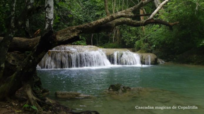 Hotel boutique en el bosque,  ecol&oacute;gico, 4 suites a la orilla de peque&ntilde;o rio, cerca