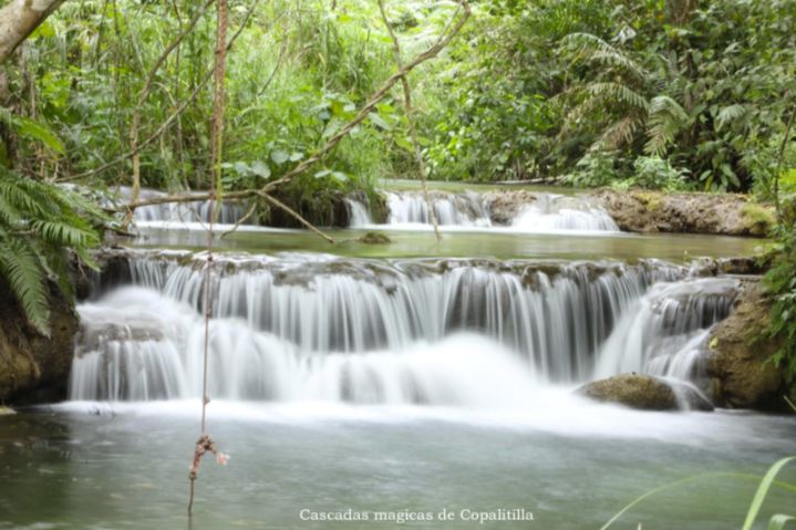 Hotel boutique en el bosque,  ecol&oacute;gico, 4 suites a la orilla de peque&ntilde;o rio, cerca
