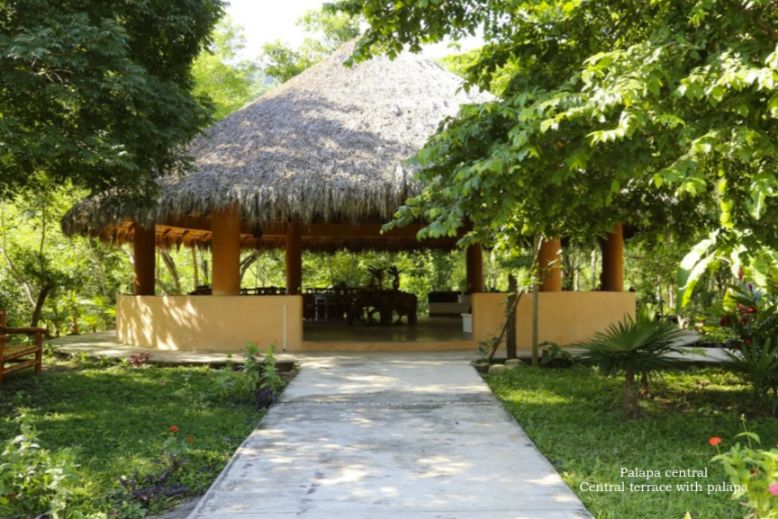 Hotel boutique en el bosque,  ecol&oacute;gico, 4 suites a la orilla de peque&ntilde;o rio, cerca