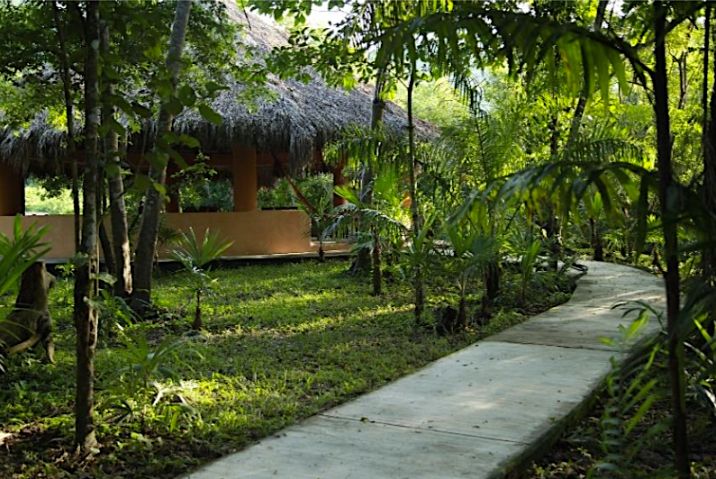 Hotel boutique en el bosque,  ecol&oacute;gico, 4 suites a la orilla de peque&ntilde;o rio, cerca