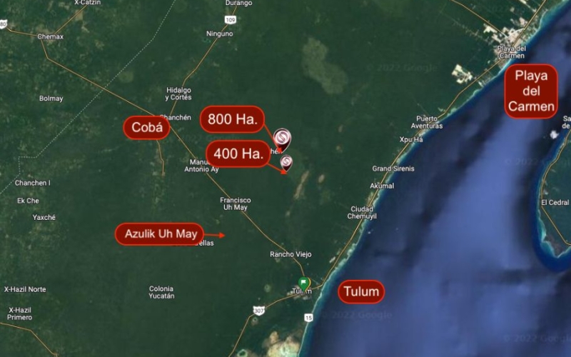 Hect&aacute;reas en venta en la selva de Tulum.