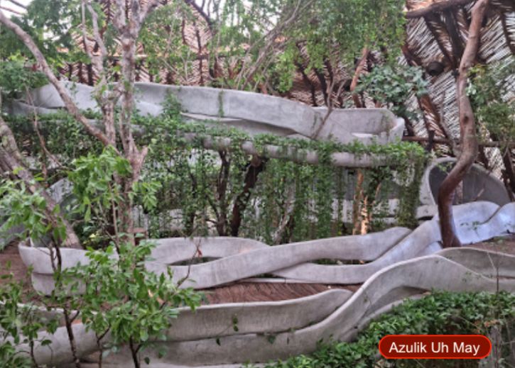 Hect&aacute;reas en venta en la selva de Tulum.