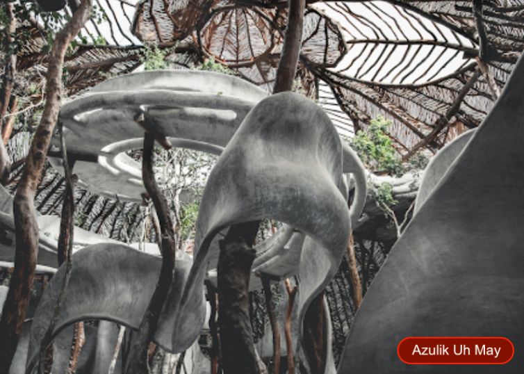 Hect&aacute;reas en venta en la selva de Tulum.