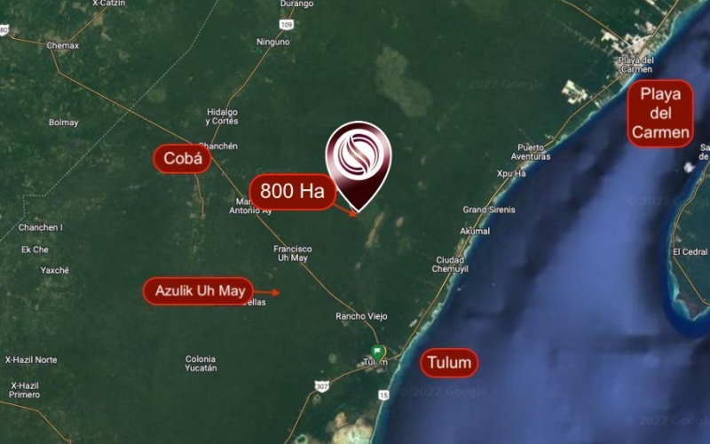 Hect&aacute;reas en venta en la selva de Tulum.