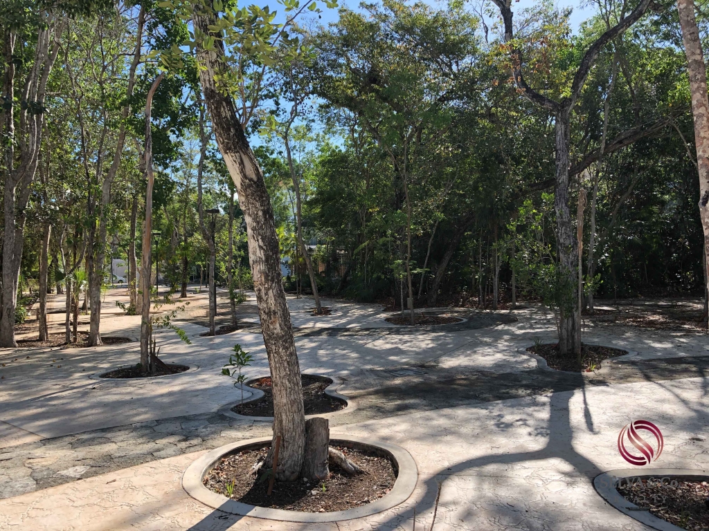 Terreno multifamiliar para desarrollo en Aldea Zama