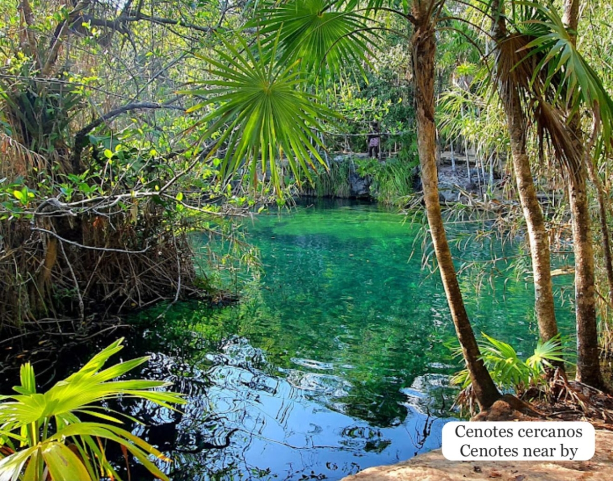 Terreno con uso de suelo mixto (comercial y residencial), luz subterr&aacute;nea, calle pavimentada, cerca