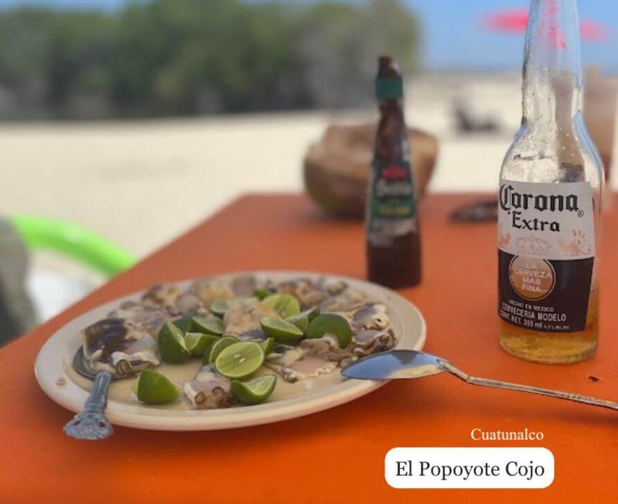 Terreno para desarrollador a 9 minutos de Playa Cuatunalco, 15 minutos del Aeropuerto de Huatulco.