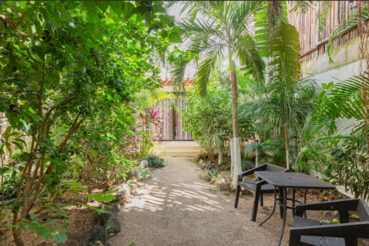 Hotel boutique con 10 suites, 11 recamaras, roof top con alberca, panel solar, amueblado y equipado,