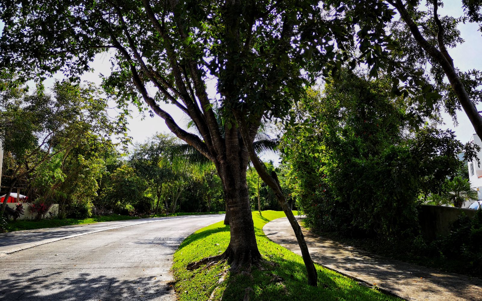 Lote multifamiliar, en residencial con cenote, venta Selvamar, Playa del Carmen