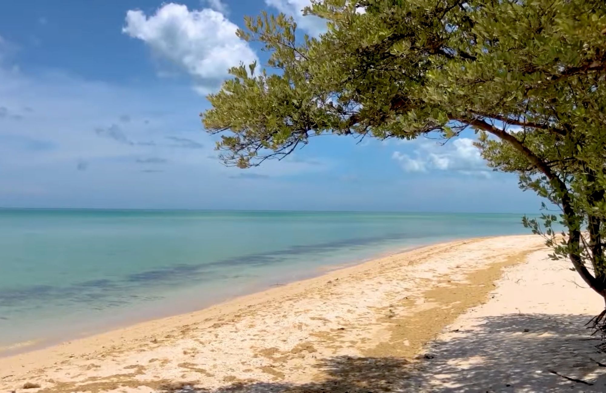 Lote frente al mar de 9,404 m2, multifamiliar, en venta Yucatan.