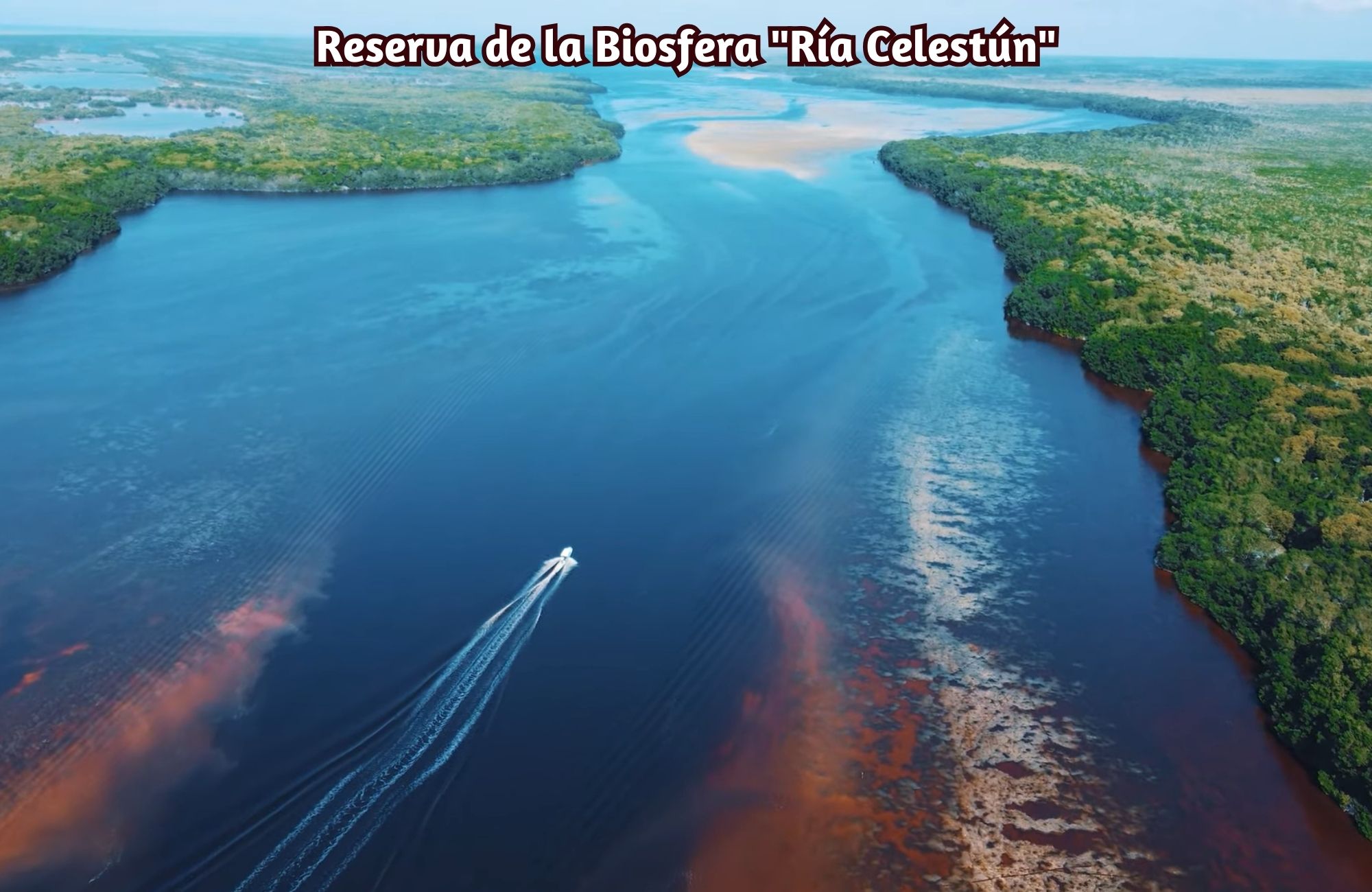 Lote frente al mar de 8,939 m2, multifamiliar, en venta Yucatan.