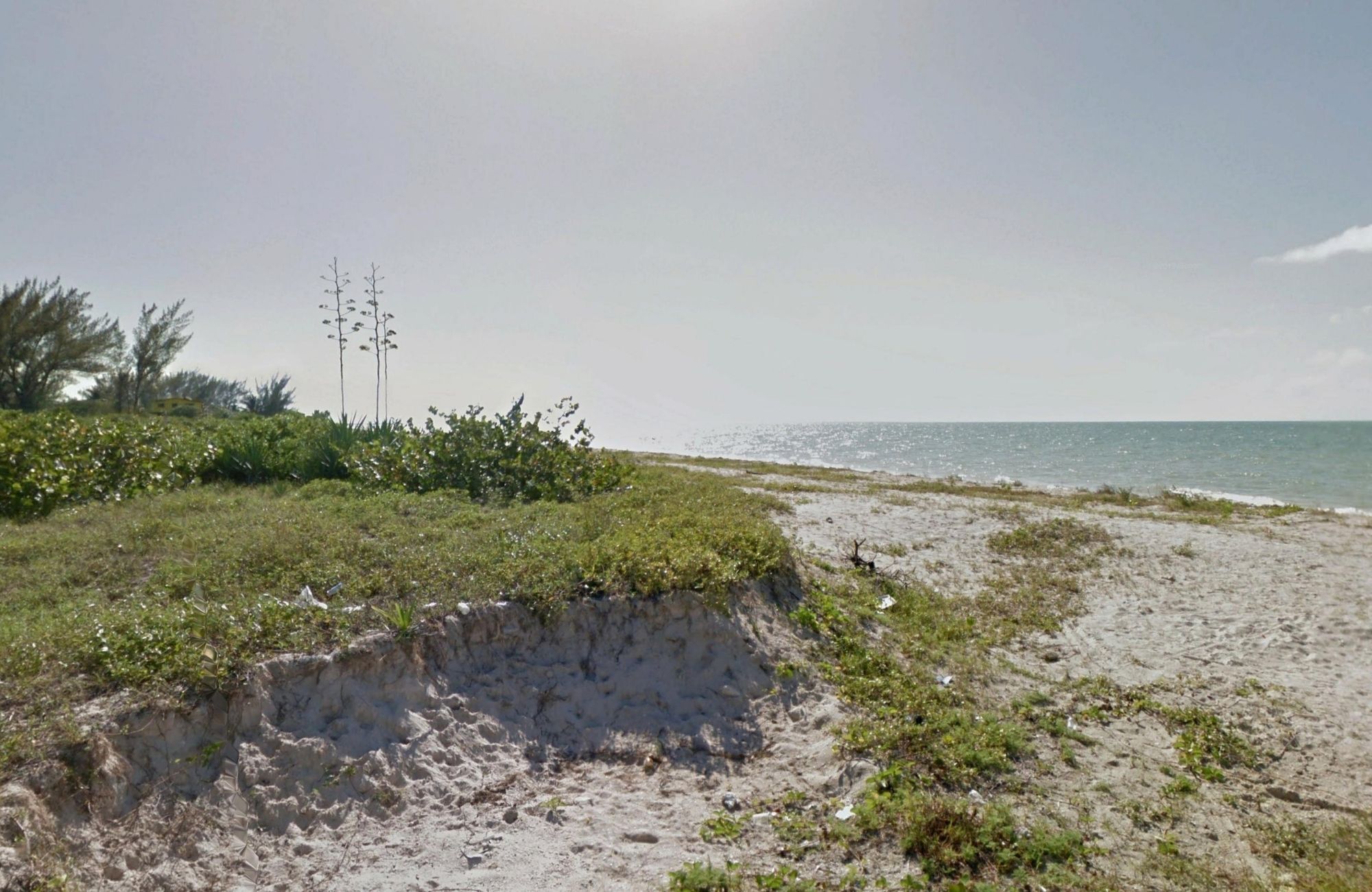 Lote frente al mar de 8,939 m2, multifamiliar, en venta Yucatan.