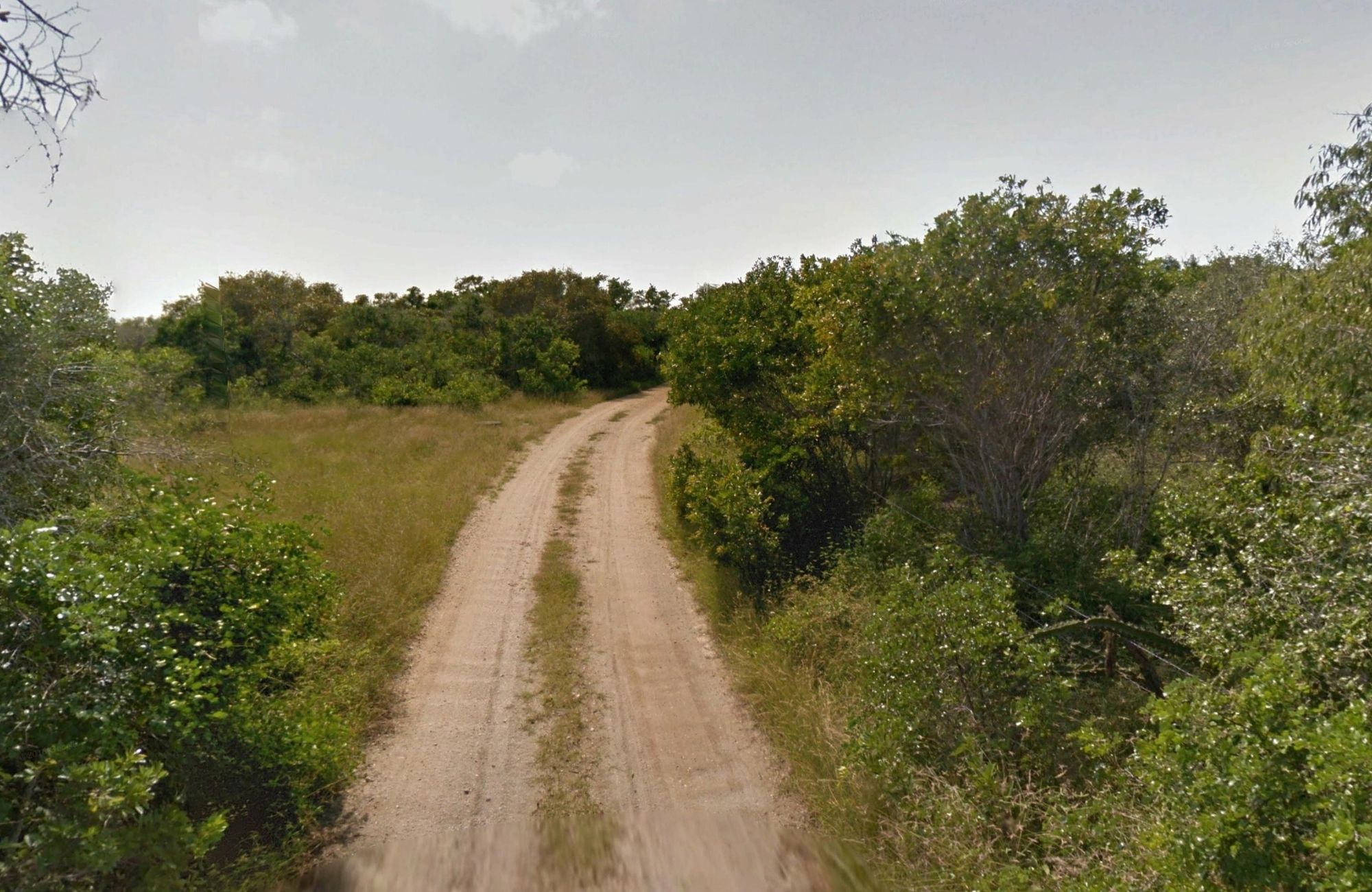 Lote frente al mar de 8,939 m2, multifamiliar, en venta Yucatan.