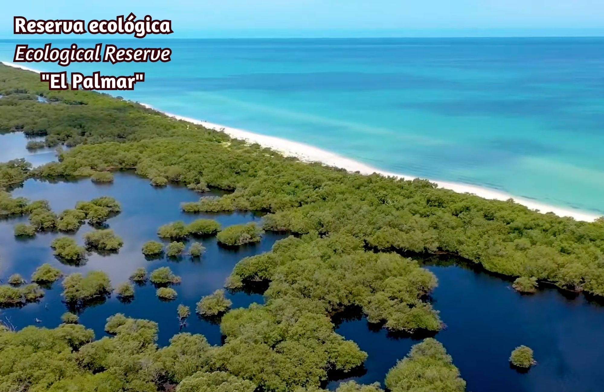 Lote frente al mar de 54,014 m2, multifamiliar, en venta Yucatan.