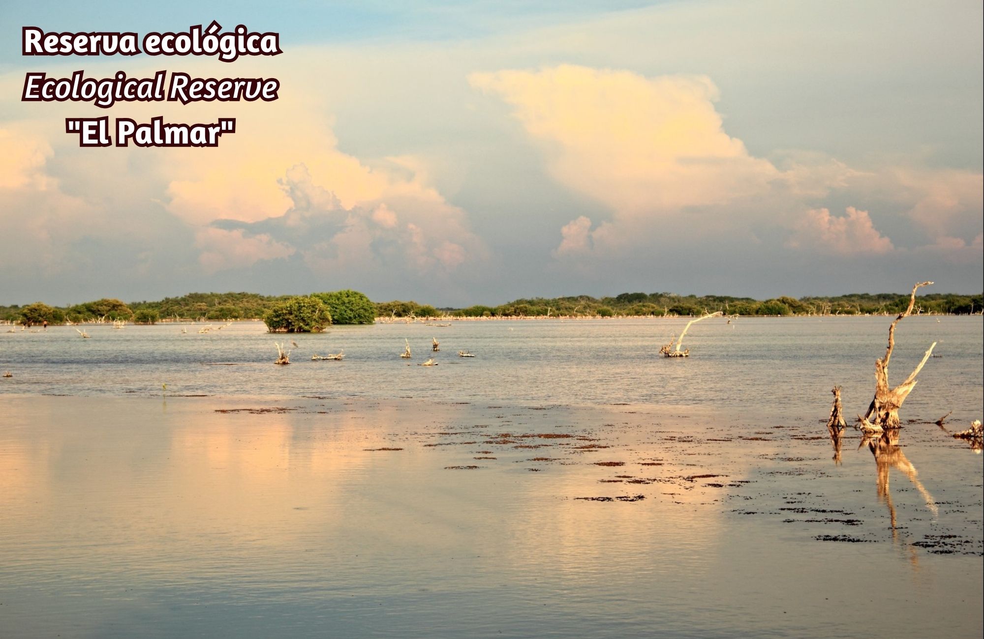 Lote frente al mar de 168,426 m2, multifamiliar, en venta Yucatan.