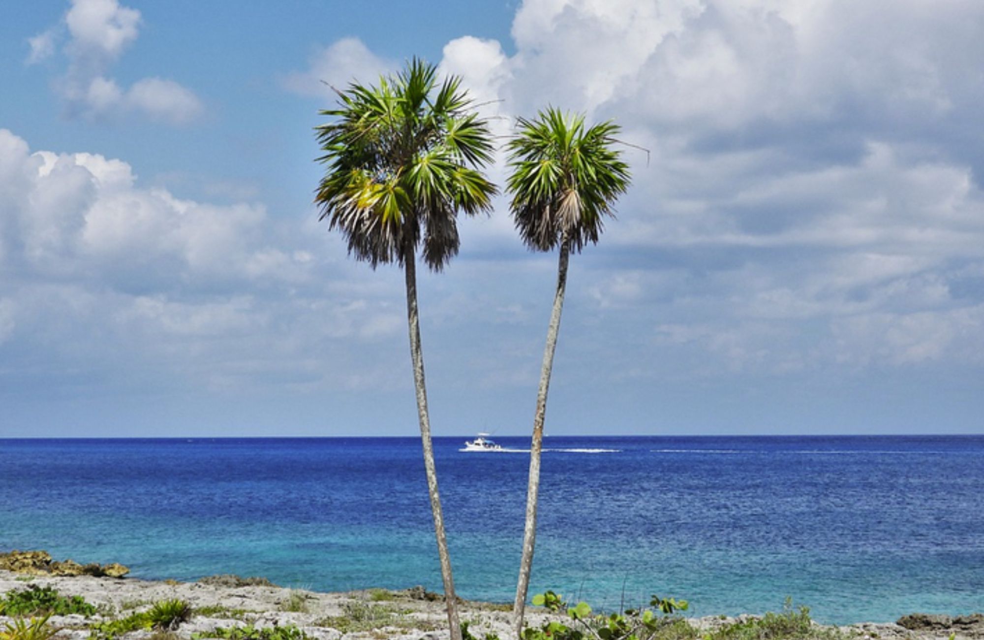 Terreno a 5 minutos de la playa, en venta, 10 de abril, isla de Cozumel