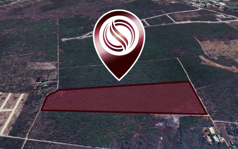 7 hect&aacute;reas en venta con excelente ubicaci&oacute;n en Conkal, M&eacute;rida.
