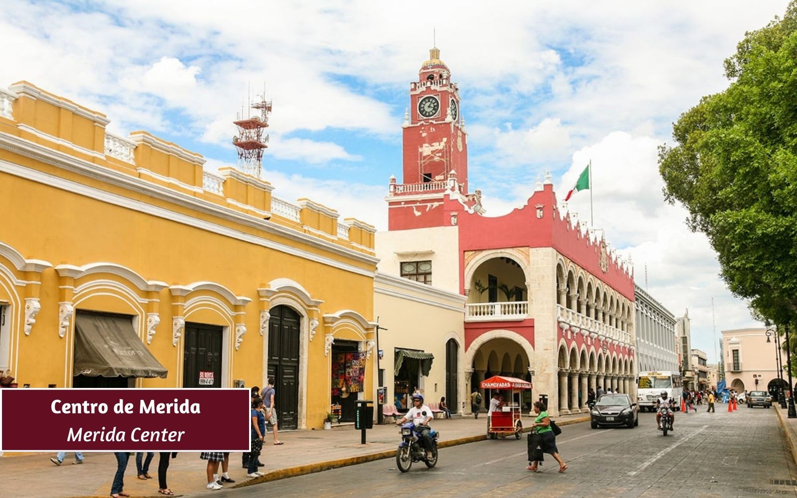 7 hect&aacute;reas en venta con excelente ubicaci&oacute;n en Conkal, M&eacute;rida.