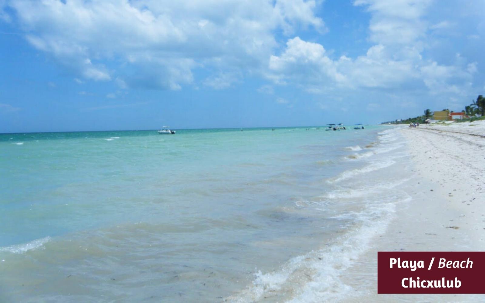 Venta de 3 Hect&aacute;reas, uso mixto, con excelente ubicaci&oacute;n en Conkal, M&eacute;rida.