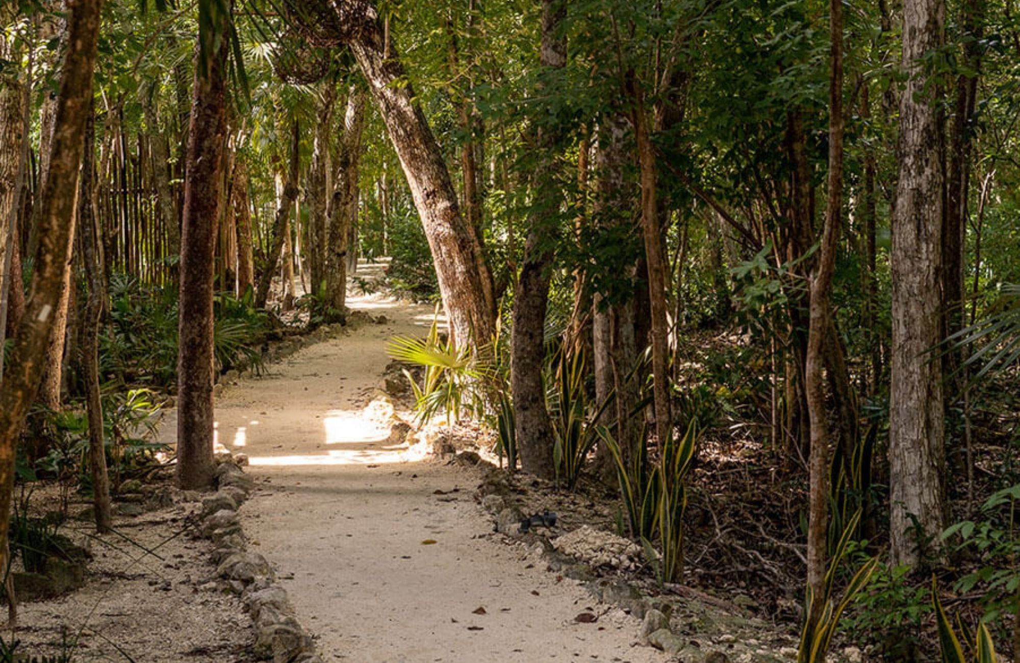 Terreno multifamiliar de 1,640 m2 a minutos del mar, en venta Aldea Zama Tulum.