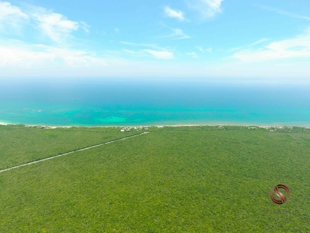 Lote Comercial en nueva Fase de Tulum.