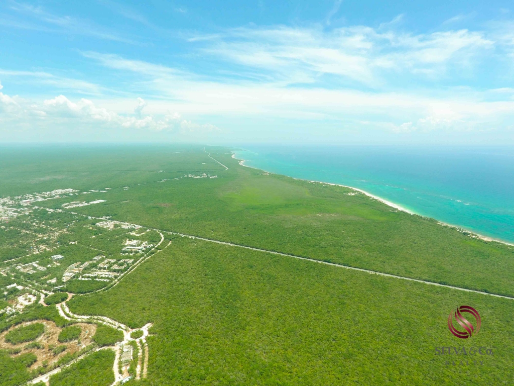 Lote Comercial en nueva Fase de Tulum.