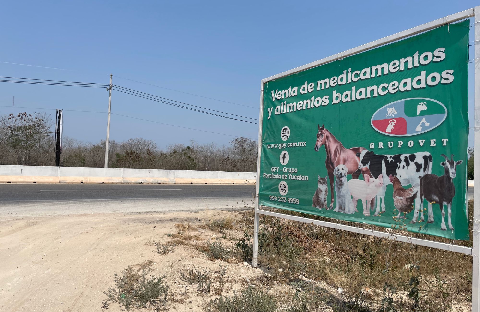 29 hect&aacute;reas en venta, en zona de crecimiento en Conkal, M&eacute;rida.