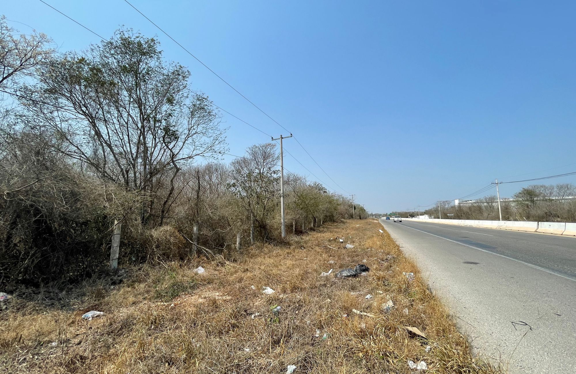 29 hect&aacute;reas en venta, en zona de crecimiento en Conkal, M&eacute;rida.