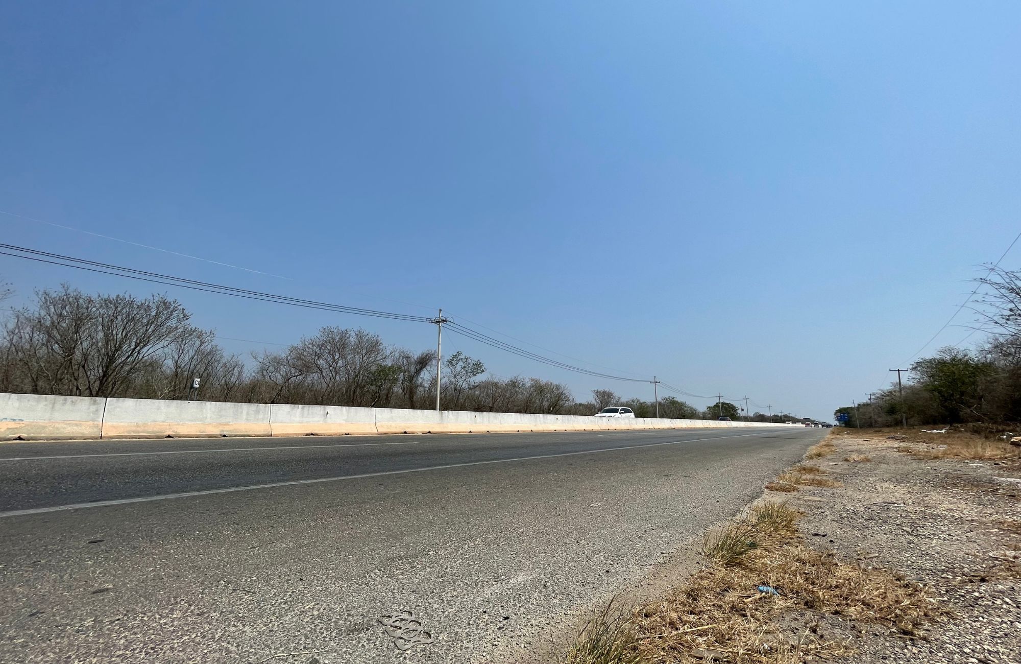 29 hect&aacute;reas en venta, en zona de crecimiento en Conkal, M&eacute;rida.