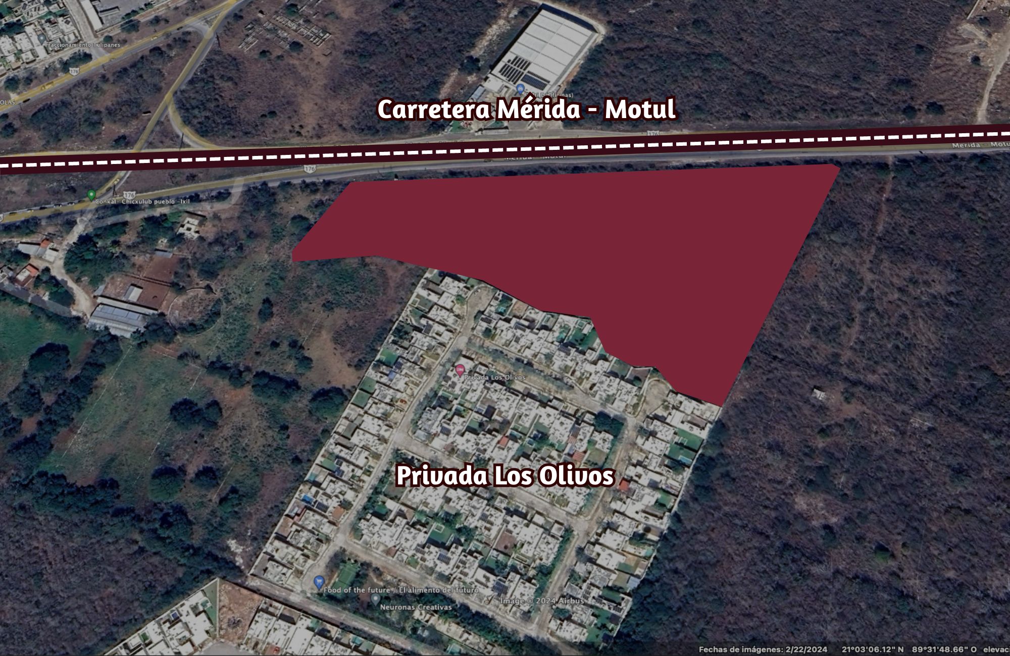 29 hect&aacute;reas en venta, en zona de crecimiento en Conkal, M&eacute;rida.