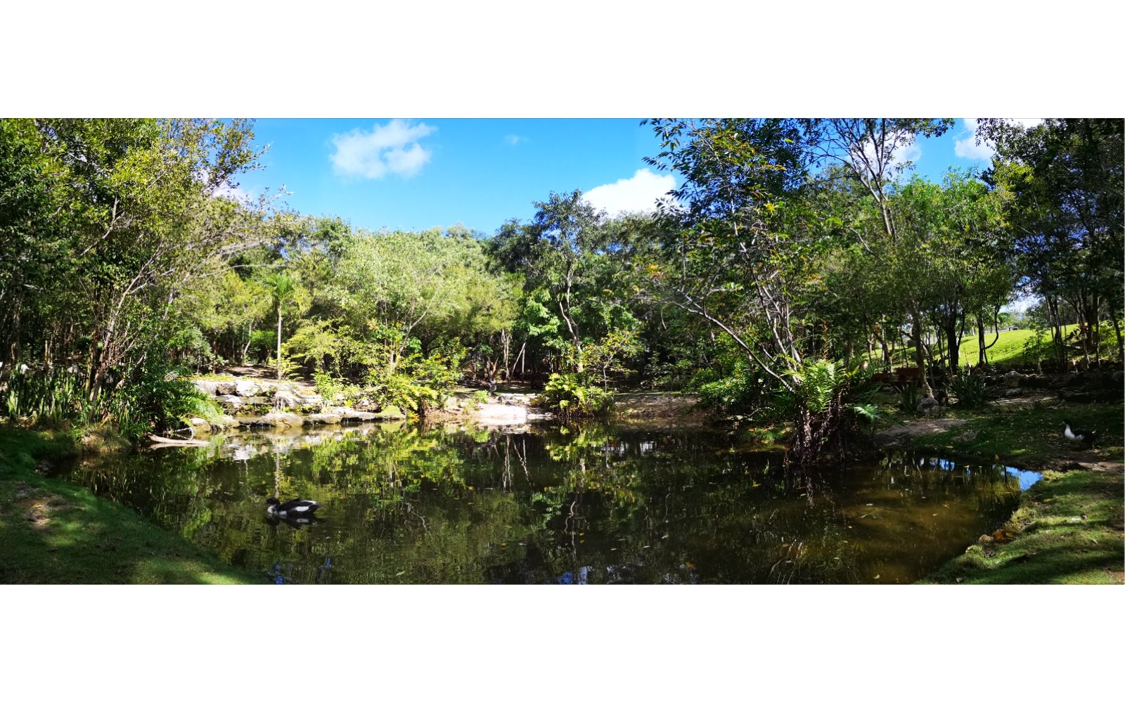 Terreno Multifamiliar 1761 m2, cenote, gym, parques, en venta, Selvamar Playa del Carmen.