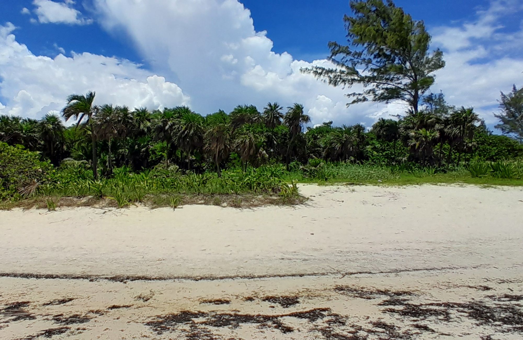 Terreno frente a la playa, uso hotelero, en venta, Punta esmeralda, Playa del Carmen.