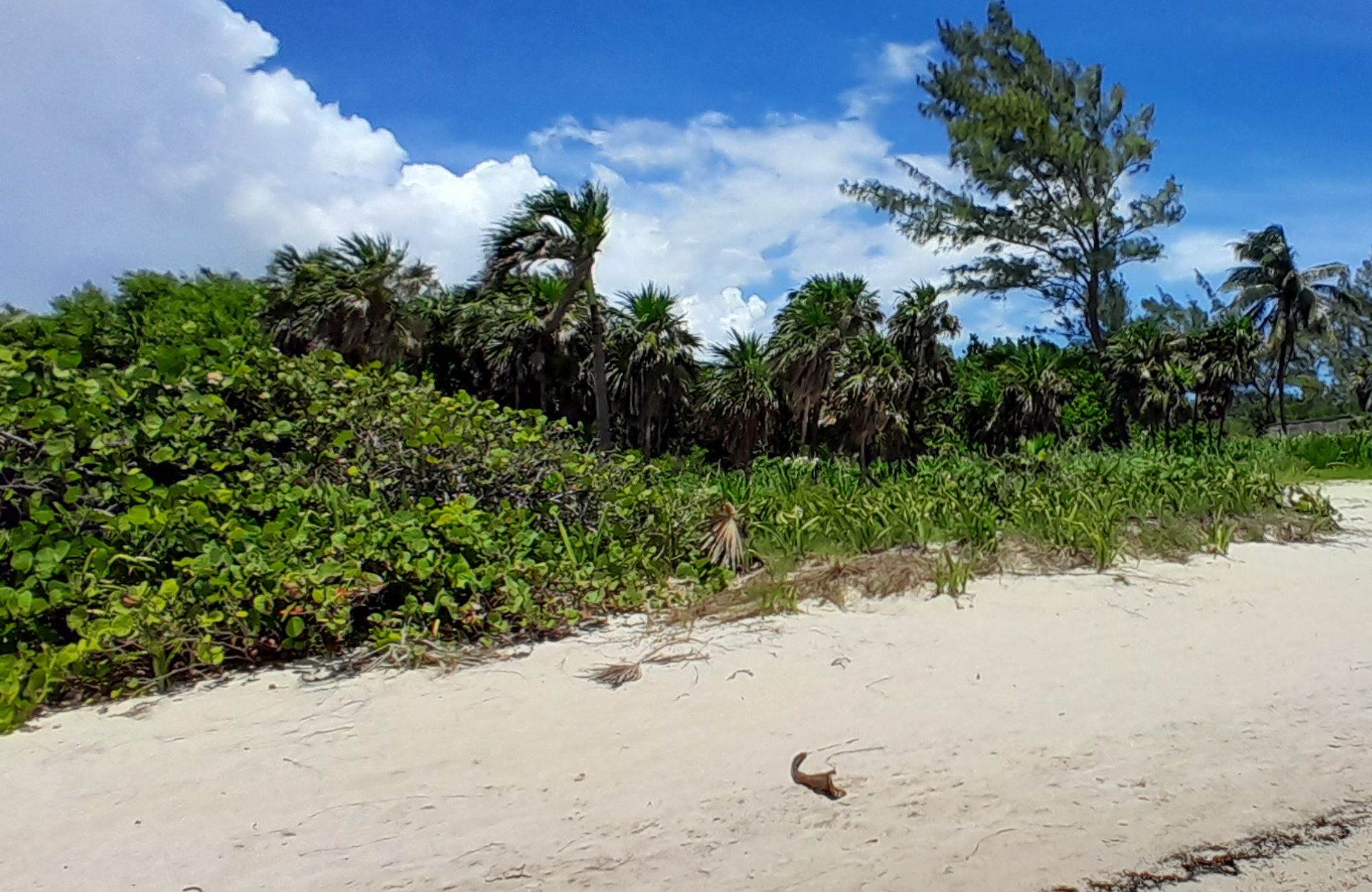 Terreno frente a la playa, uso hotelero, en venta, Punta esmeralda, Playa del Carmen.