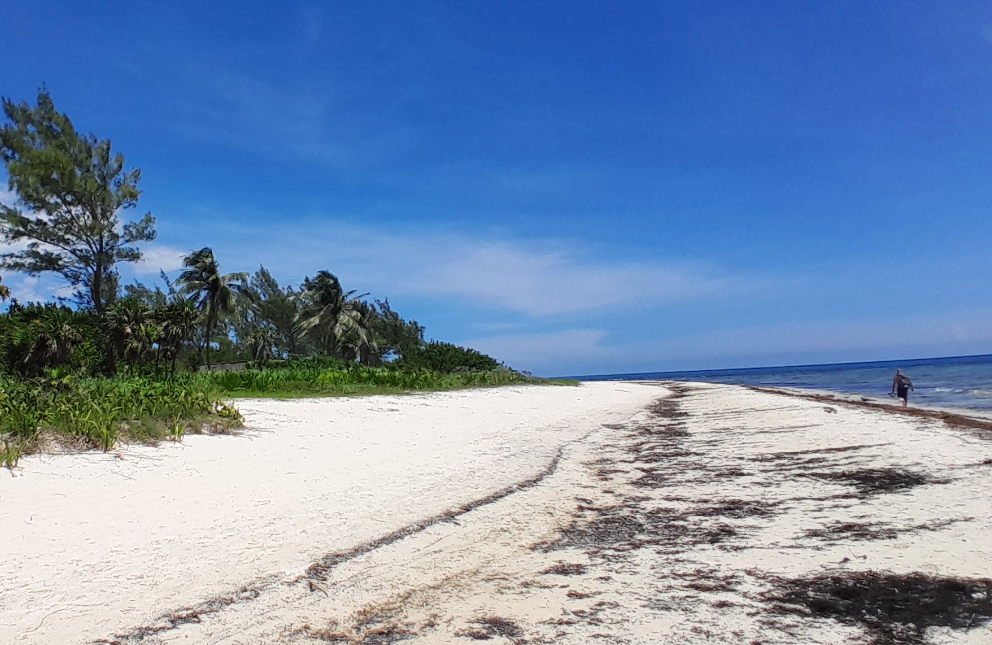 Terreno frente a la playa, uso hotelero, en venta, Punta esmeralda, Playa del Carmen.