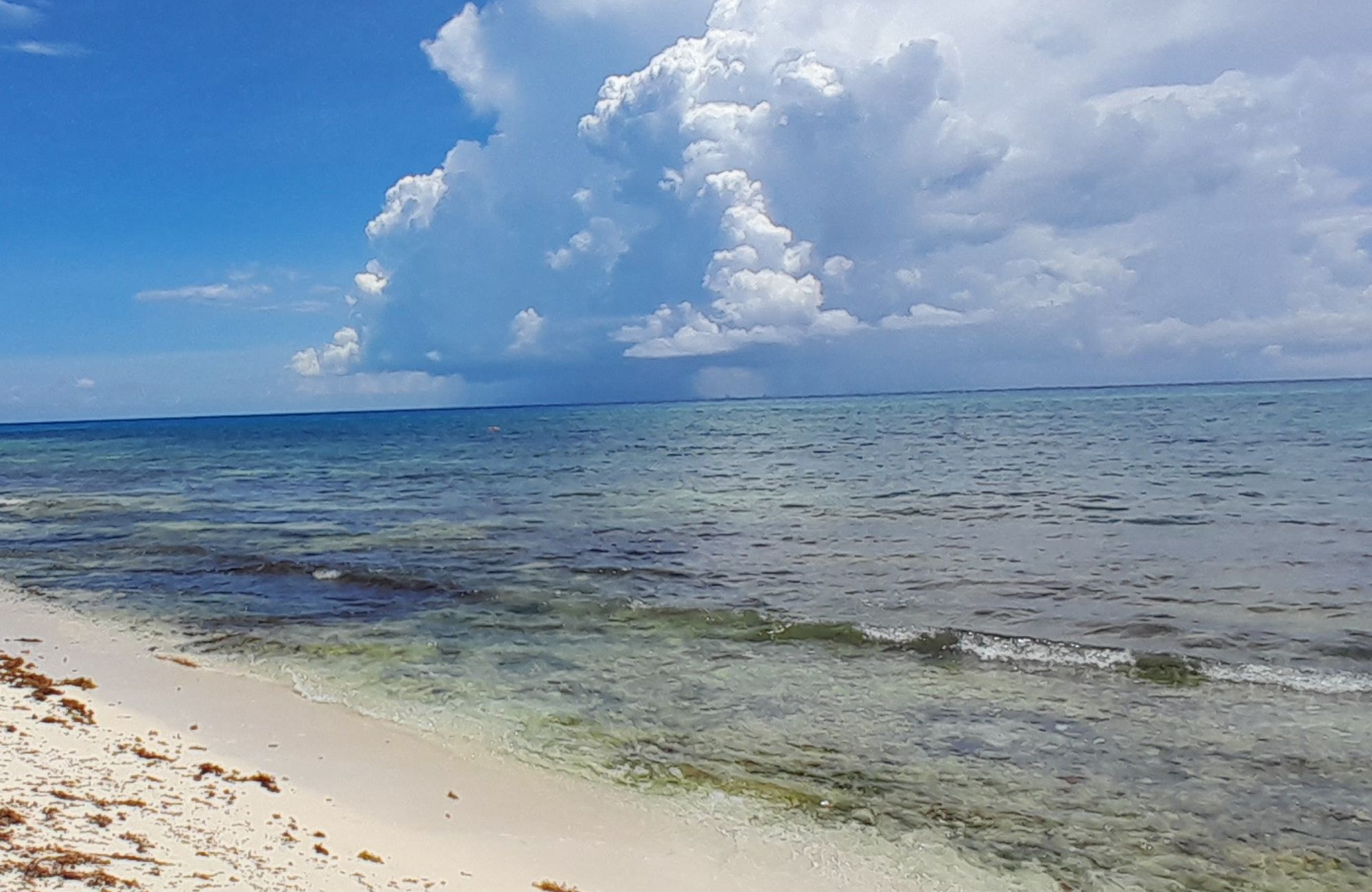 Terreno frente a la playa, uso hotelero, en venta, Punta esmeralda, Playa del Carmen.