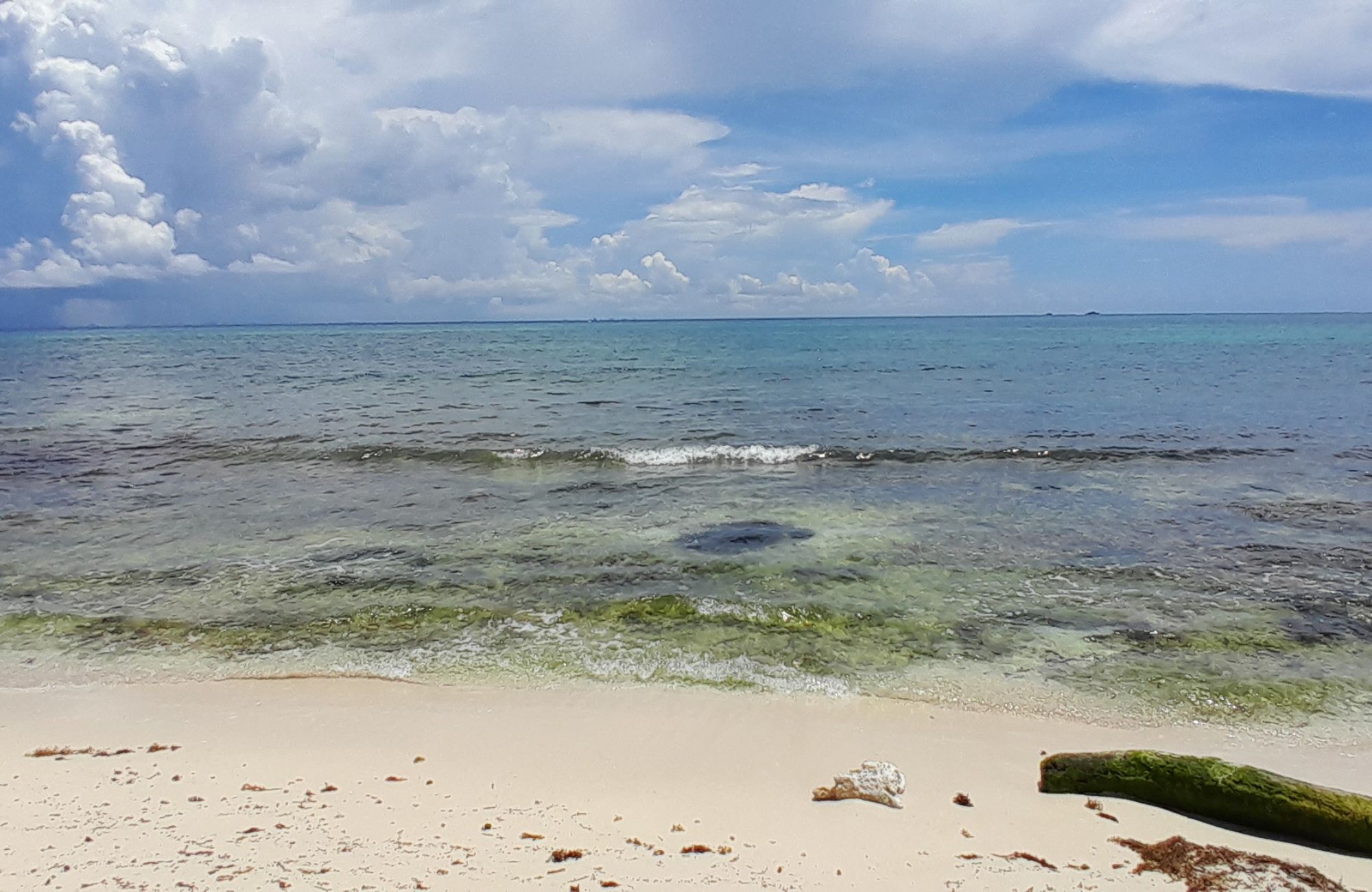 Terreno frente a la playa, uso hotelero, en venta, Punta esmeralda, Playa del Carmen.