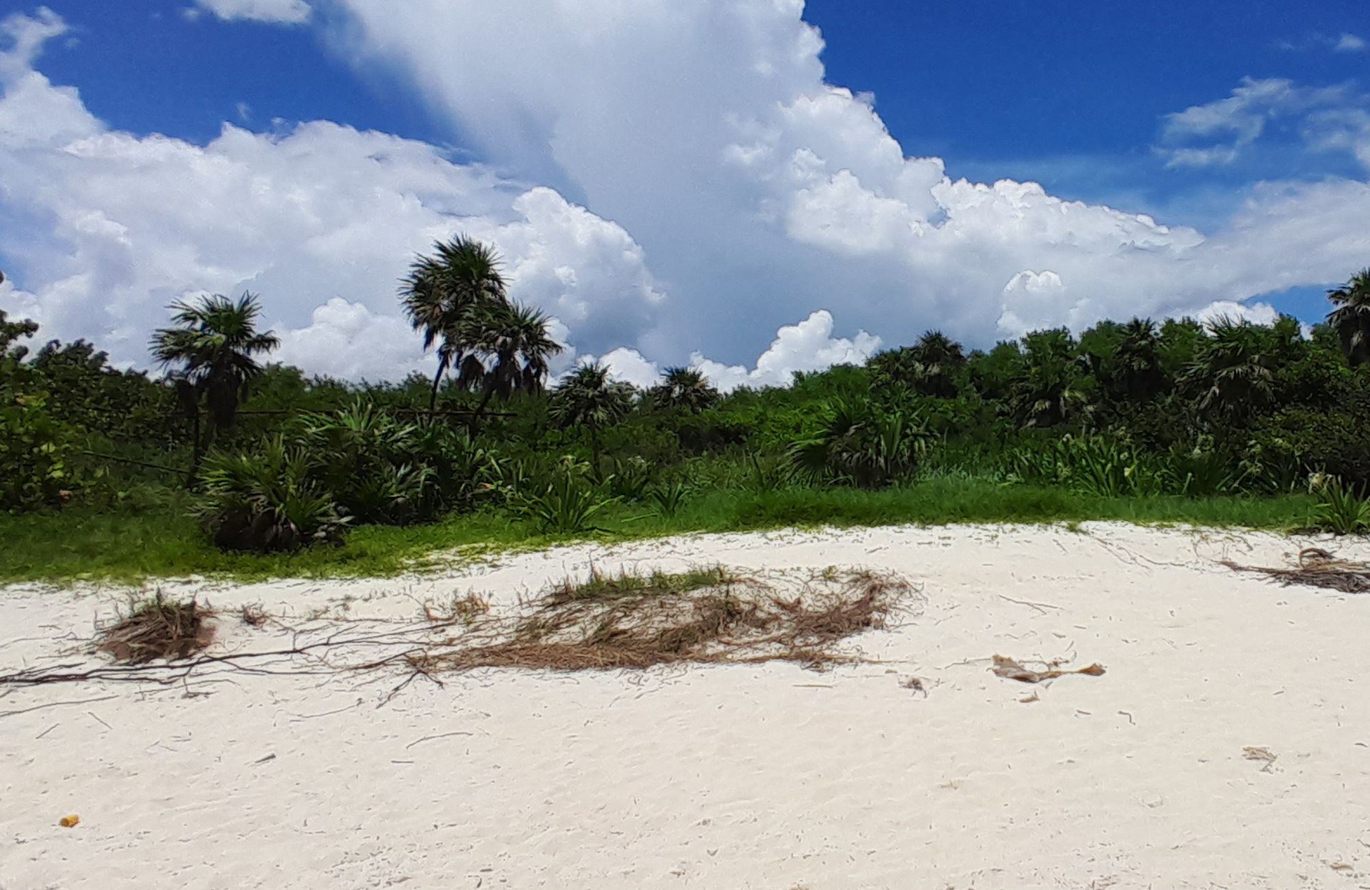 Terreno frente a la playa, uso hotelero, en venta, Punta esmeralda, Playa del Carmen.